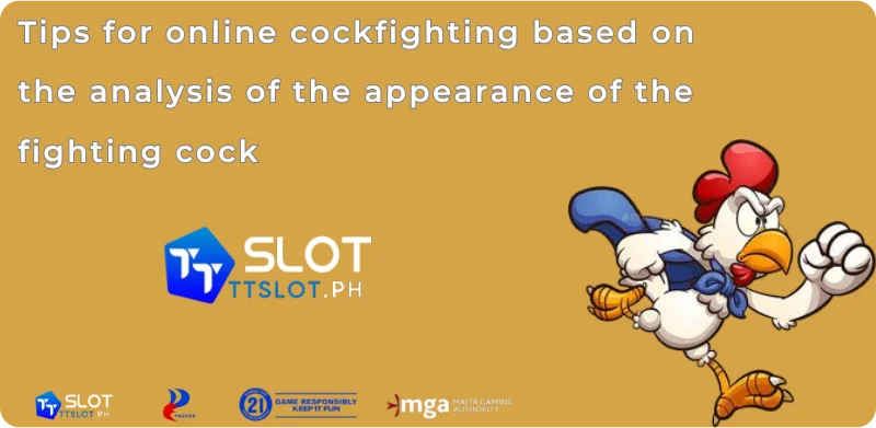 Tips for online cockfighting based on the analysis of the appearance of the fighting cock